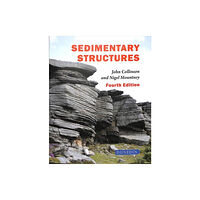 Liverpool University Press Sedimentary Structures (häftad, eng)