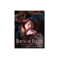 Pinter & Martin Ltd. Birth in Focus (häftad, eng)