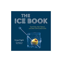 Red Lightning Books The Ice Book (inbunden, eng)