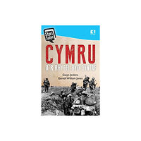 Y Lolfa Stori Sydyn: Cymru a'r Rhyfel Byd Cyntaf (häftad, wel)