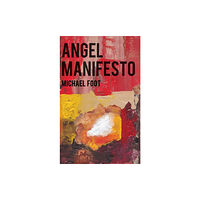 Troubador Publishing Angel Manifesto (häftad, eng)