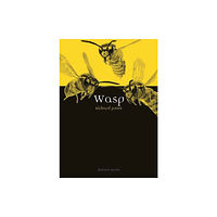 Reaktion Books Wasp (häftad, eng)