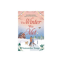 Bloomsbury Publishing PLC The Winter We Met (häftad, eng)