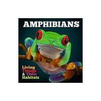 The Secret Book Company Amphibians (inbunden, eng)