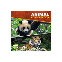 BookLife Publishing Animal Conservation (inbunden, eng)