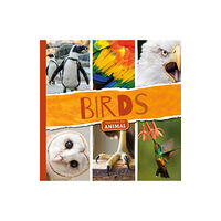 BookLife Publishing Birds (häftad, eng)