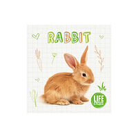 BookLife Publishing Rabbit (inbunden, eng)