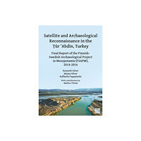 Archaeopress Satellite and Archaeological Reconnaissance in the Tur 'Abdin, Turkey (häftad, eng)