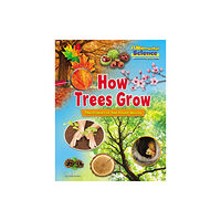 Ruby Tuesday Books Ltd How Trees Grow (häftad, eng)