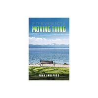 Austin Macauley Publishers If Time Were Not a Moving Thing (inbunden, eng)