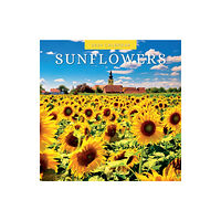 Red Robin Publishing Ltd. Sunflowers 2024 Square Wall Calendar (häftad, eng)