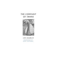 Vintage Publishing The Company of Swans (häftad, eng)