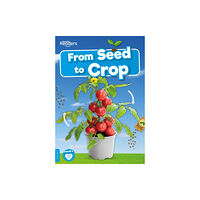 BookLife Publishing From Seed to Crop (häftad, eng)