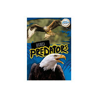 BookLife Publishing Bird Predators (häftad, eng)