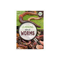 BookLife Publishing Learning about Worms (häftad, eng)