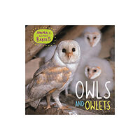 Hachette Children's Group Animals and their Babies: Owls & Owlets (häftad, eng)