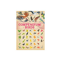 Hachette Children's Group Illustrated Compendium of Birds (inbunden, eng)