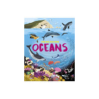 Hachette Children's Group The Big Picture: Oceans (häftad, eng)