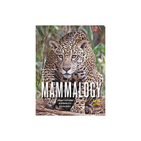 Johns Hopkins University Press Mammalogy (inbunden, eng)