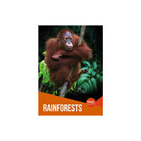 BookLife Publishing Rainforests (häftad, eng)