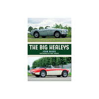 Amberley Publishing The Big Healeys (häftad, eng)