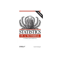 O'Reilly Media Statistics in a Nutshell (häftad, eng)