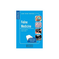 Manson Publishing Ltd Feline Medicine (häftad, eng)