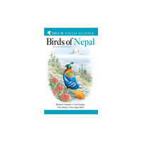 Bloomsbury Publishing PLC Field Guide to the Birds of Nepal (häftad, eng)