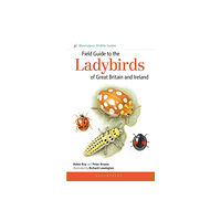 Bloomsbury Publishing PLC Field Guide to the Ladybirds of Great Britain and Ireland (häftad, eng)