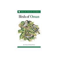 Bloomsbury Publishing PLC Field Guide to the Birds of Oman (häftad, eng)