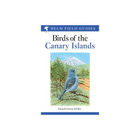 Bloomsbury Publishing PLC Field Guide to the Birds of the Canary Islands (häftad, eng)