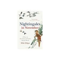 Bloomsbury Publishing PLC Nightingales in November (häftad, eng)