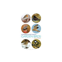 Bloomsbury Publishing PLC Pocket Guide To Garden Birds (häftad, eng)