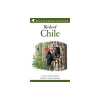 Bloomsbury Publishing PLC Field Guide to the Birds of Chile (häftad, eng)