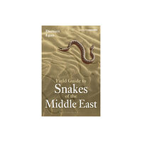 Bloomsbury Publishing PLC Field Guide to Snakes of the Middle East (häftad, eng)