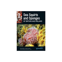 Wild Nature Press Sea Squirts and Sponges of Britain and Ireland (häftad, eng)