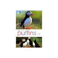 Bloomsbury Publishing PLC RSPB Spotlight: Puffins (häftad, eng)