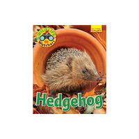 Ruby Tuesday Books Ltd Wildlife Watchers: Hedgehog (häftad, eng)