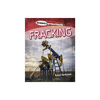 Cheriton Children's Books Fracking (häftad, eng)