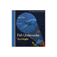 Moonlight Publishing Ltd Fish Underwater (bok, spiral, eng)