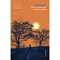 Ambrose Bierce Halpin Fraysers död och andra noveller (inbunden)