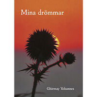 Ghirmay Yohannes Mina drömmar (häftad)