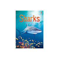 Usborne Publishing Ltd Sharks (inbunden, eng)