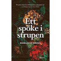 Rámus Förlag Ett spöke i strupen (pocket)