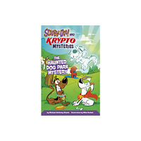 Capstone Global Library Ltd The Haunted Dog Park Mystery (häftad, eng)