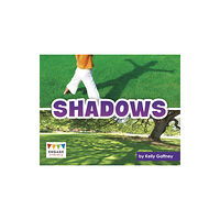 Capstone Global Library Ltd Shadows (häftad, eng)