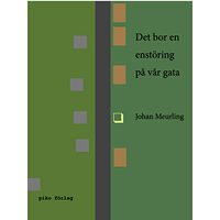 Johan Meurling Det bor en enstöring på vår gata (inbunden)