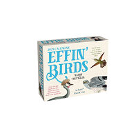 Andrews McMeel Publishing Effin' Birds 2025 Day-to-Day Calendar