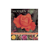 Anness publishing Modern Roses (häftad, eng)