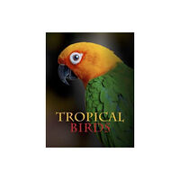 Amber Books Ltd Tropical Birds (inbunden, eng)